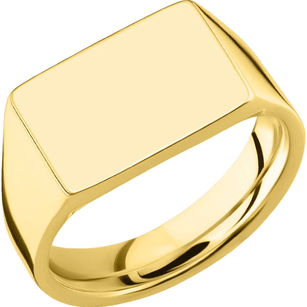 Medium Horizontal Rectangle signet ring (16x11.5mm) in 10K Yellow Gold, with a Wide style band. - Image 2