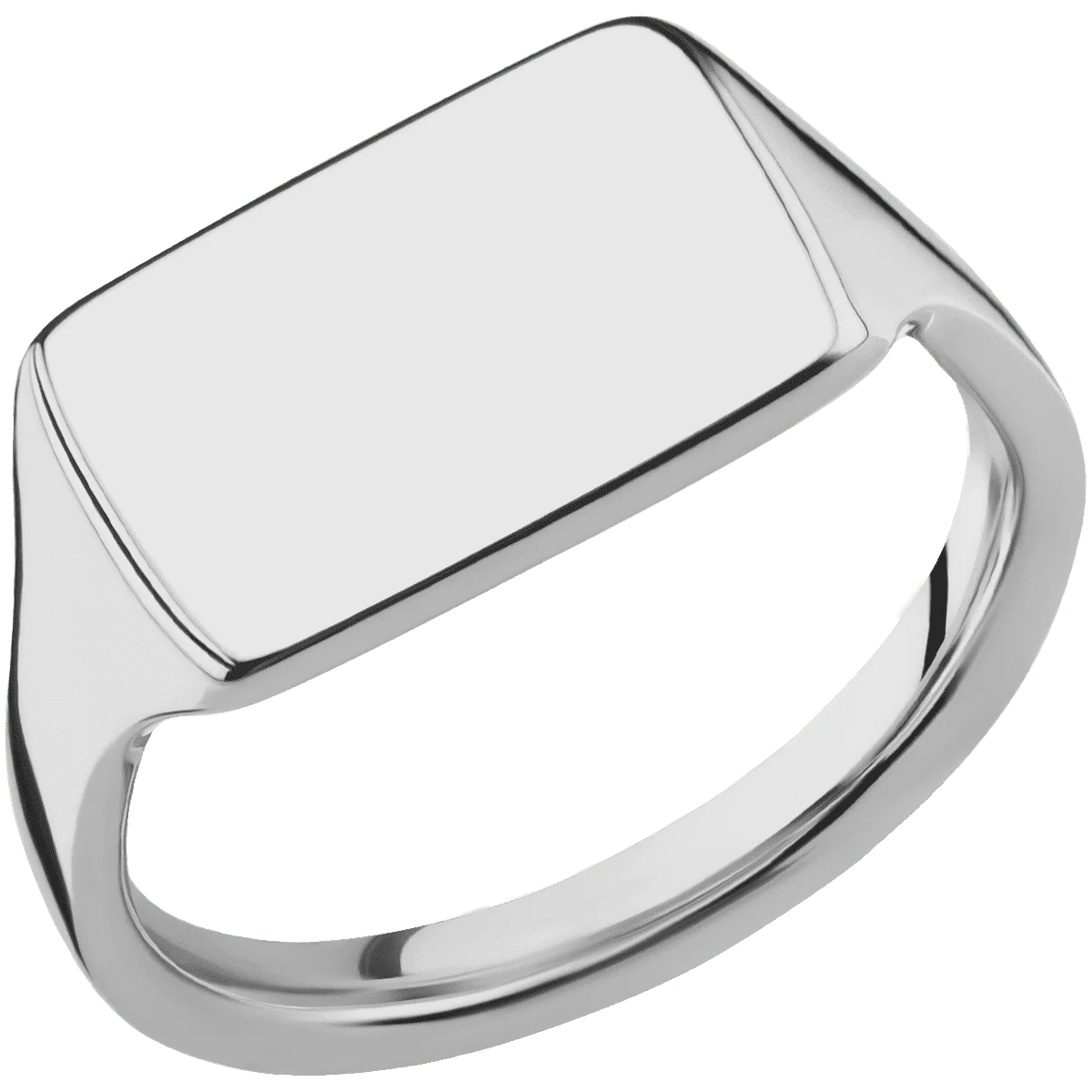 Medium Horizontal Rectangle signet ring (16x11.5mm) in Titanium, with a Thin style band. - Image 2