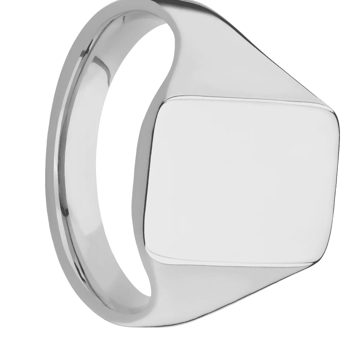 Medium Rectangle signet ring (16x11.5mm) in Titanium, with a Thin style band.