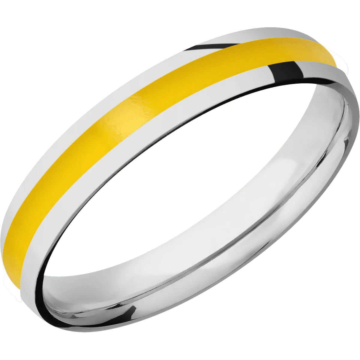 Platinum + Polish Finish - Image 2