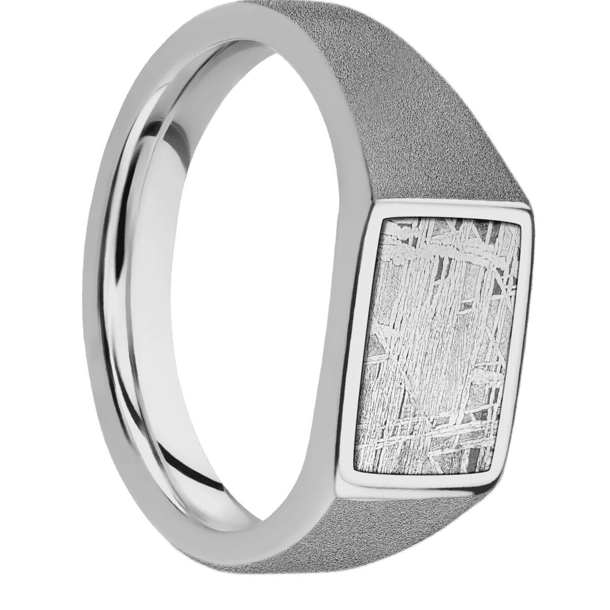 Small Horizontal Rectangle signet ring (12x9mm) in Titanium, with a Wide style band, a Meteorite inlay.