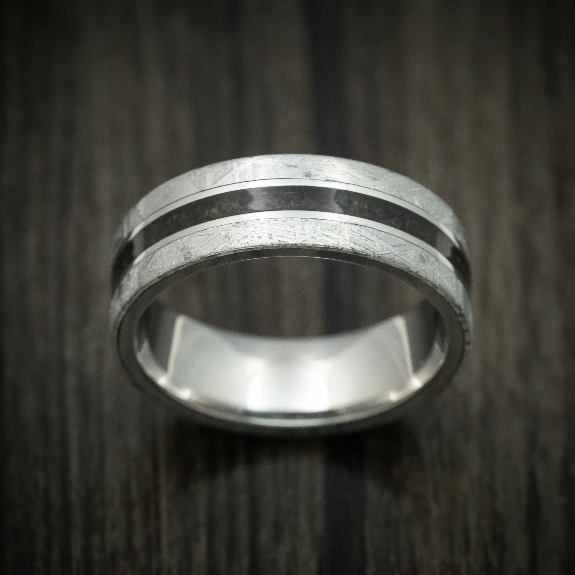 Titanium Men's Ring with Dinosaur Bone and Gibeon Meteorite Custom Made Band - Image 2